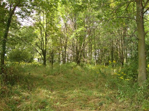 Property photo 1 - 133+/- Acres Offered in 4 Tracts - Farmland, Hunting & Recreation or Future Building Sites
